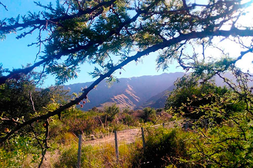 Cabaña en Merlo