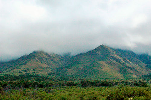 Cabaña en Merlo