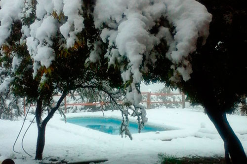 Cabaña en Merlo